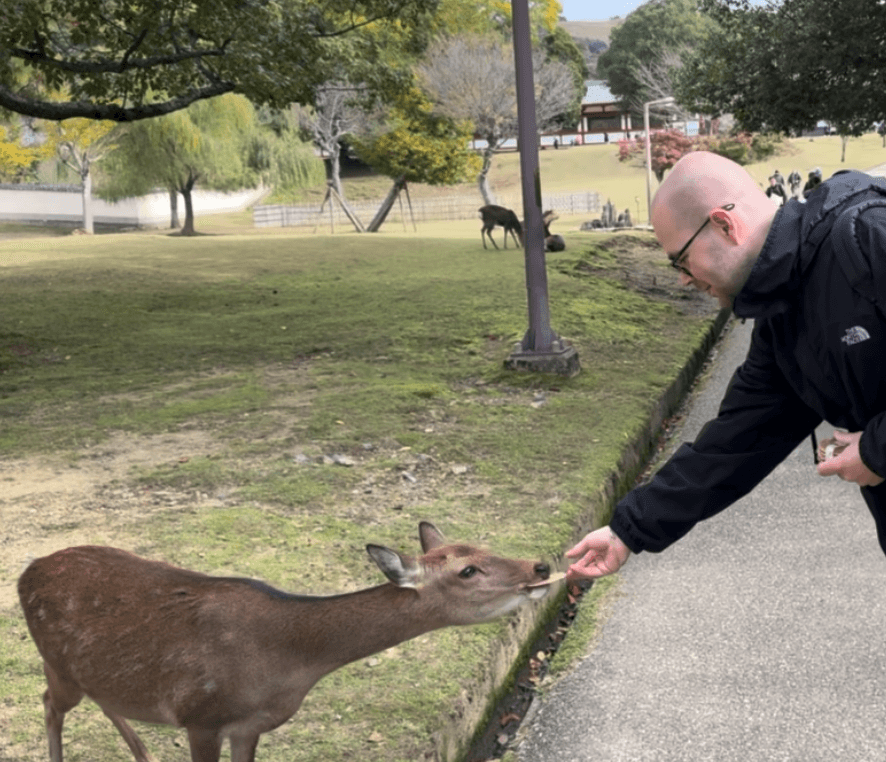 Photo of /_next/static/media/feeding-deer.22f82307.png