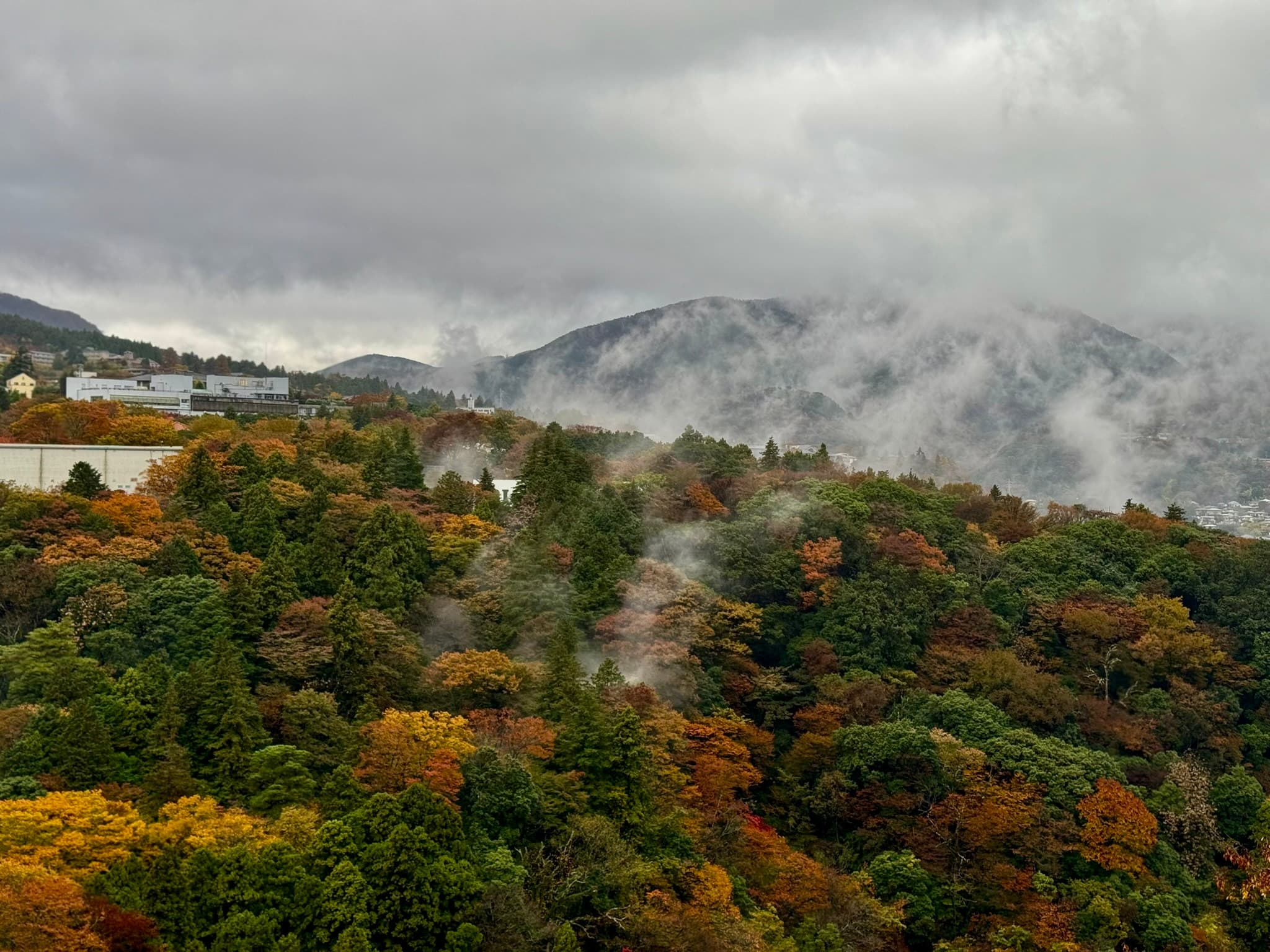 Photo of /_next/static/media/hakone.d82c3db5.jpeg
