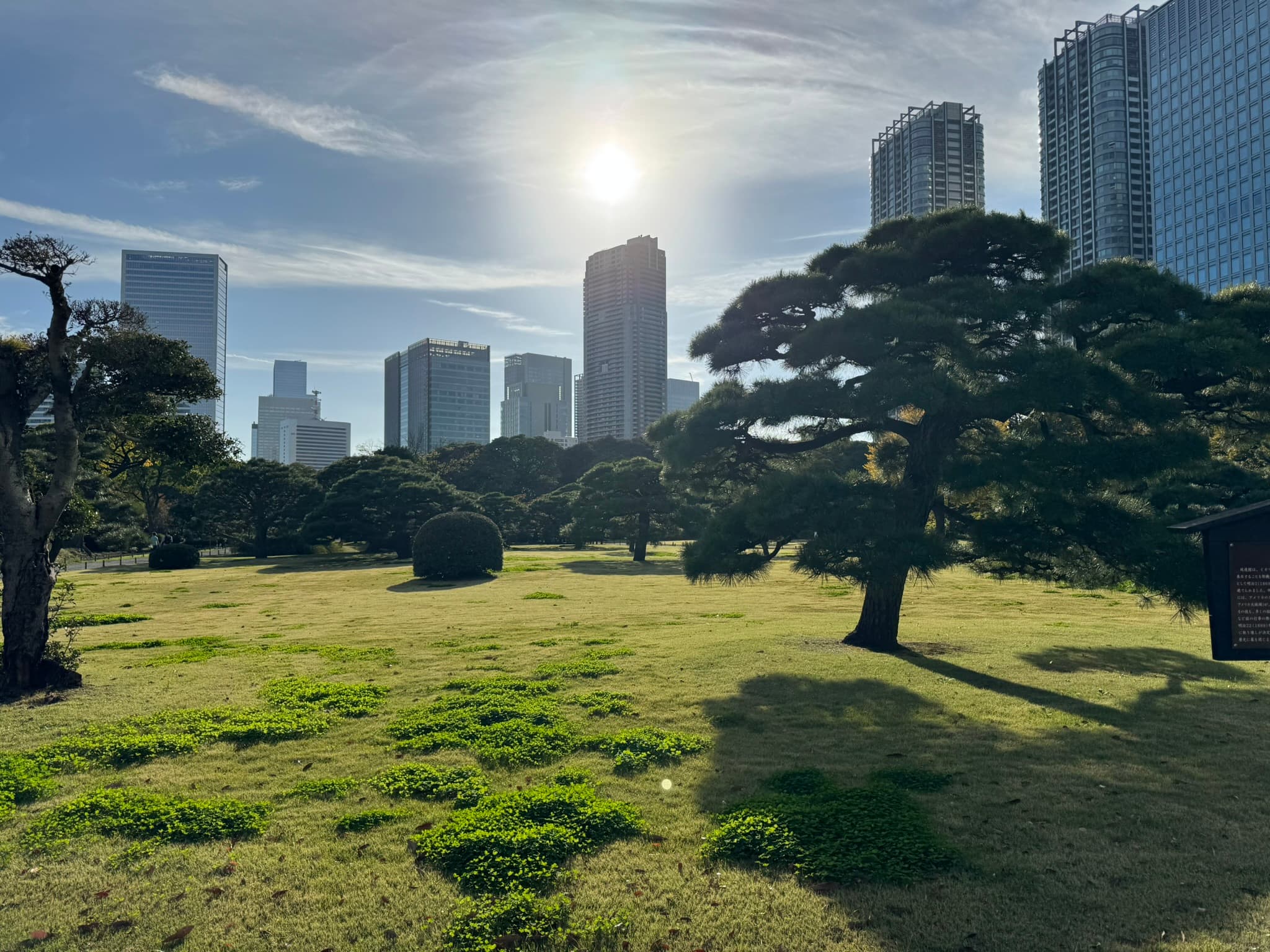 Photo of /_next/static/media/hamarikyu.d6bb40ec.jpeg
