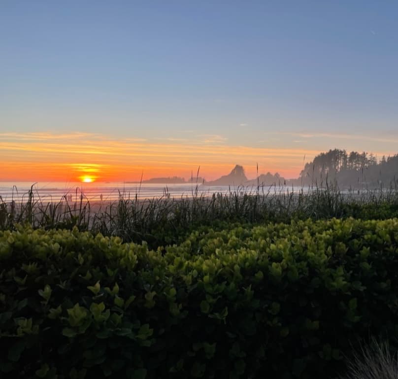 Photo of /_next/static/media/sunset.f38a769f.jpeg